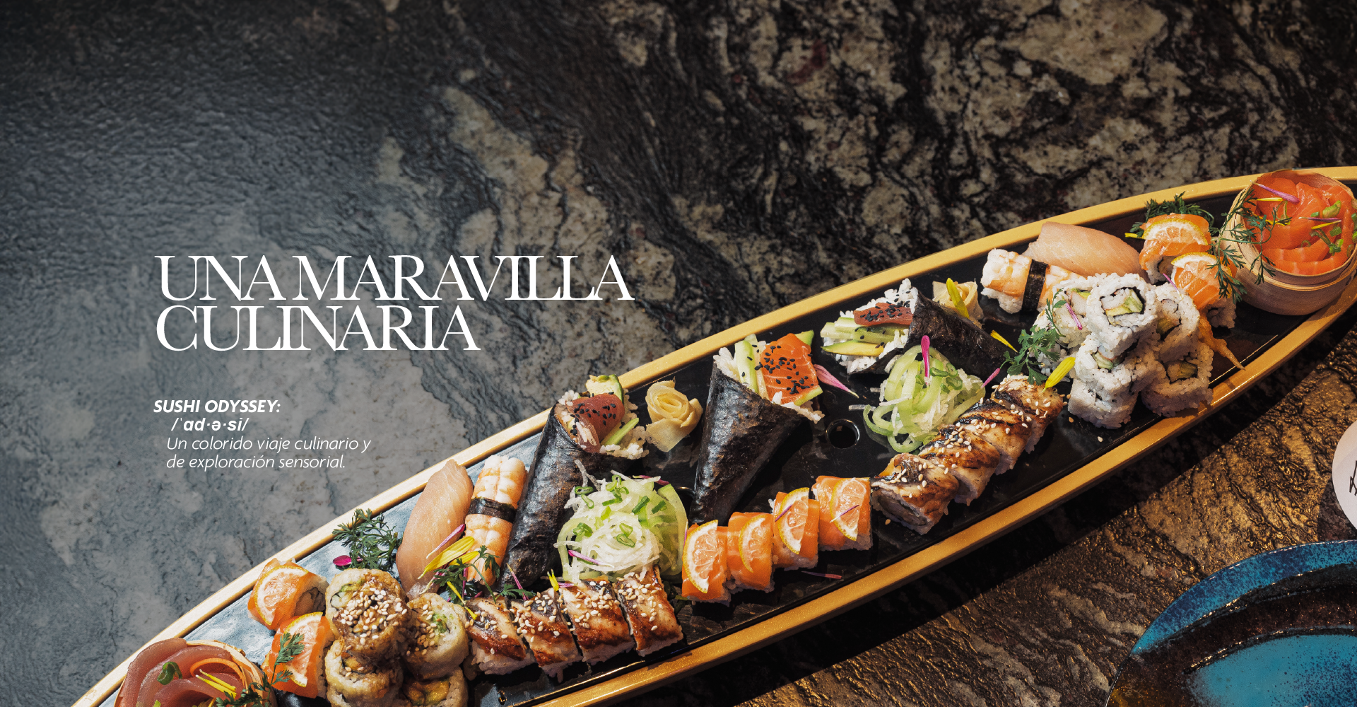 Plato insignia ParrotFish Puerto Vallarta and Punta de Mita